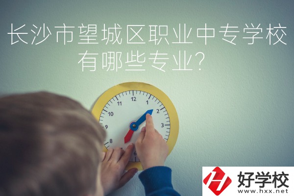 長(zhǎng)沙市望城區(qū)職業(yè)中等專業(yè)學(xué)校有哪些專業(yè)？