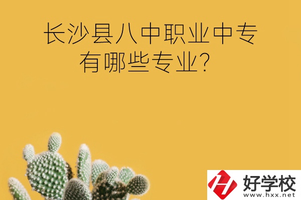 長沙縣八中職業(yè)中專好不好？有哪些專業(yè)？