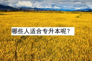 哪些人適合專升本呢？