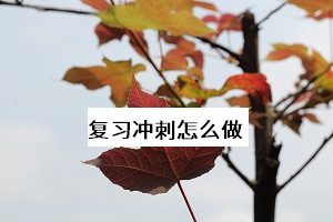 復(fù)習(xí)沖刺怎么做