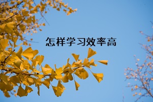 怎樣學(xué)習(xí)效率高