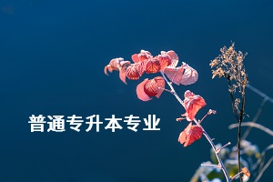 荊楚理工學(xué)院專升本的專業(yè)有哪些？專業(yè)考試難不難？